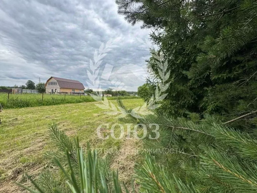 Участок в Калужская область, Боровский муниципальный округ, д. Писково ... - Фото 2