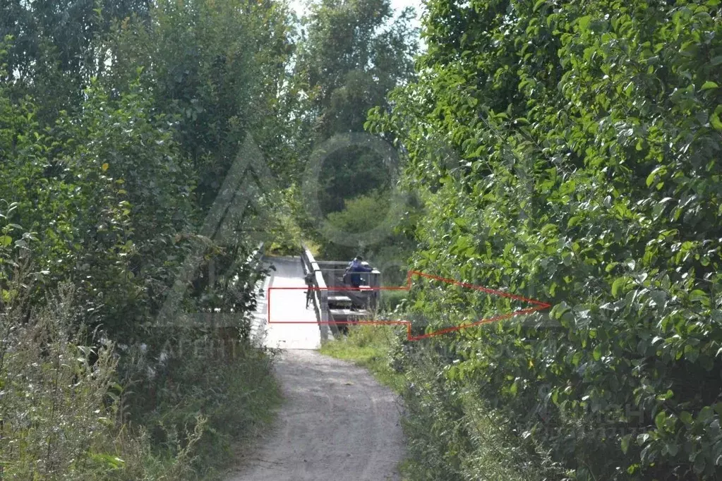 Участок в Ленинградская область, Приозерск ул. Чапаева (11.99 сот.) - Фото 2