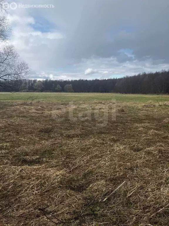 Участок в село Пчельники, улица Мира (36 м) - Фото 1