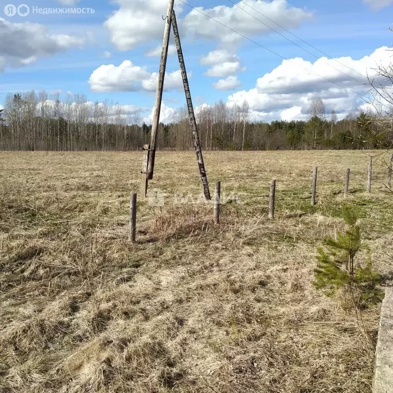 Участок в Республика Карелия, Пудожское городское поселение, деревня ... - Фото 1