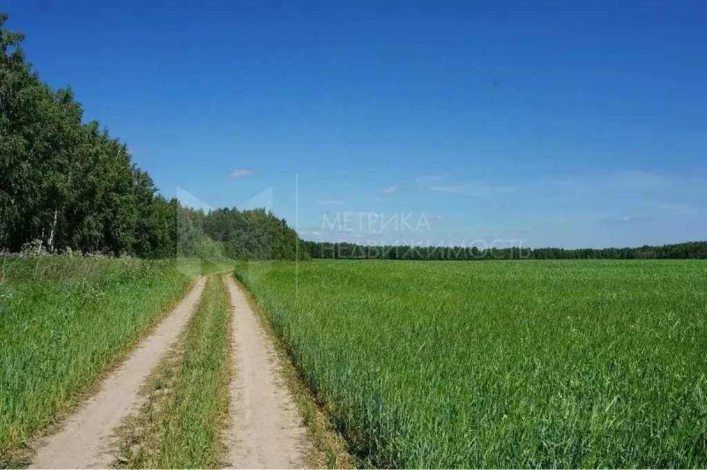 Участок в Тюменская область, Тюменский район, с. Червишево  (600.0 ... - Фото 0