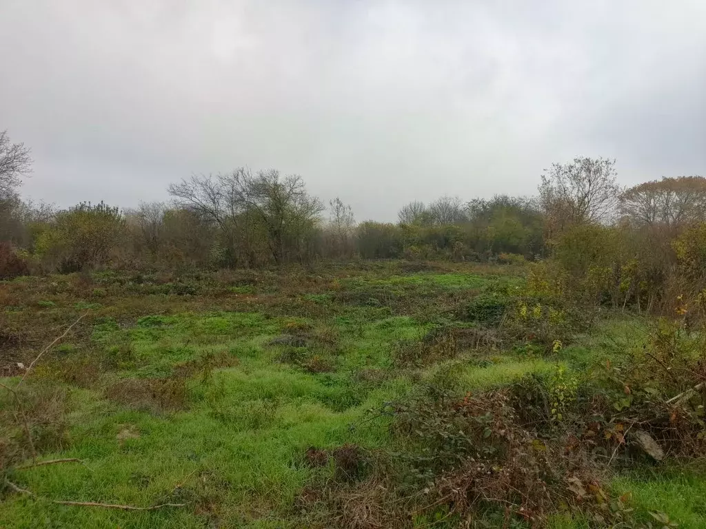 Участок в Краснодарский край, Северский район, Афипское городское ... - Фото 2