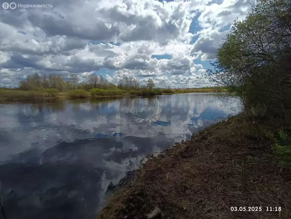 Участок в Медведское сельское поселение, деревня Костково (69.3 м) - Фото 0