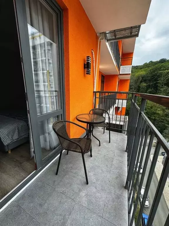 Студия Краснодарский край, Сочи ул. Искры, 88 (27.0 м) - Фото 2