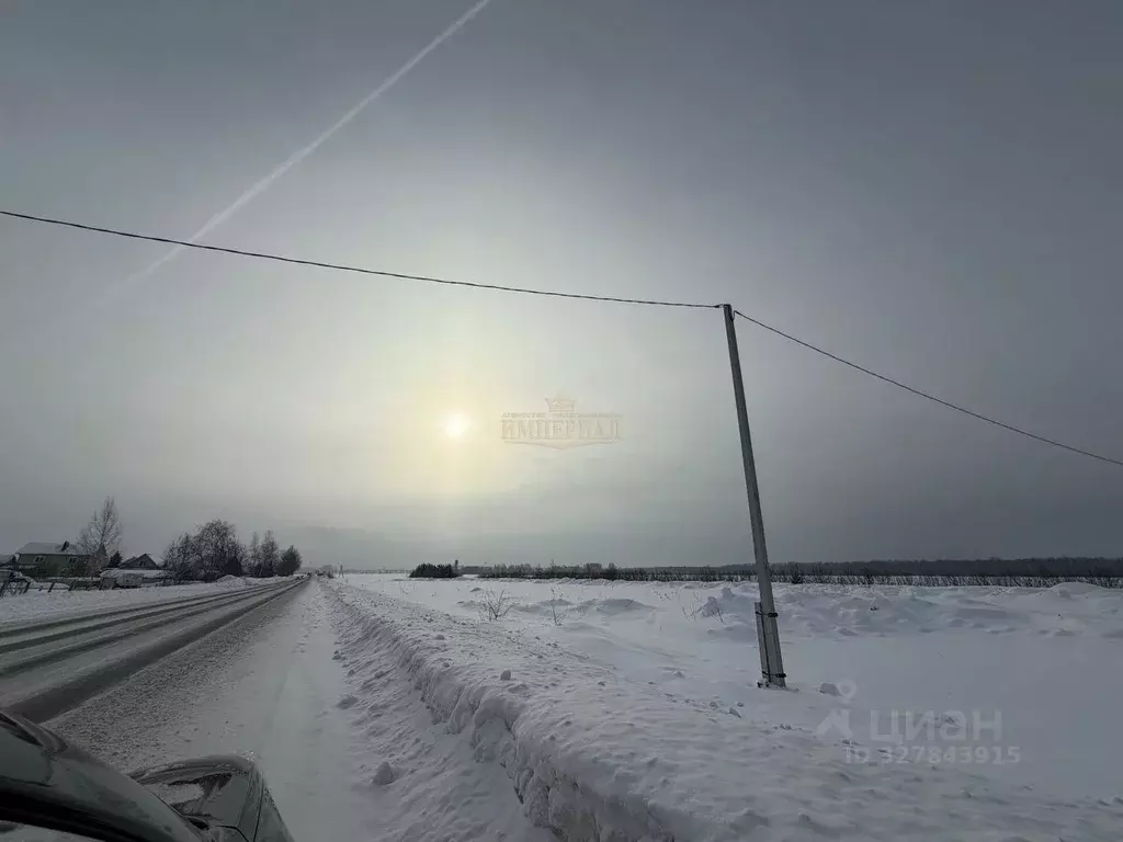 Участок в Марий Эл, Медведевский район, Пекшиксолинское с/пос, д. ... - Фото 1