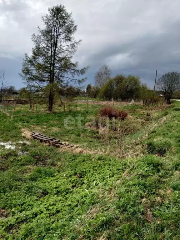 Участок в Вологодская область, Шекснинский муниципальный округ, д. ... - Фото 1