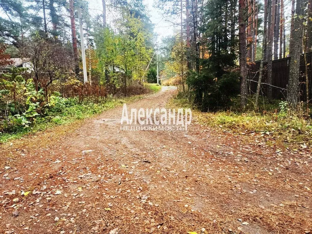 Участок в Ленинградская область, Приозерский район, пос. Сосново  ... - Фото 2