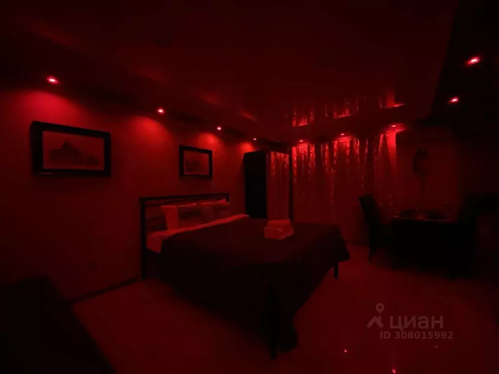 Студия Ярославская область, Ярославль ул. Чехова, 41А (29.0 м) - Фото 1
