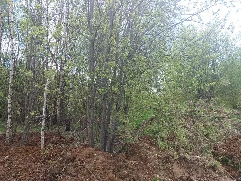 Участок в Московская область, Сергиев Посад ул. Лейтенанта Алексеева ... - Фото 1