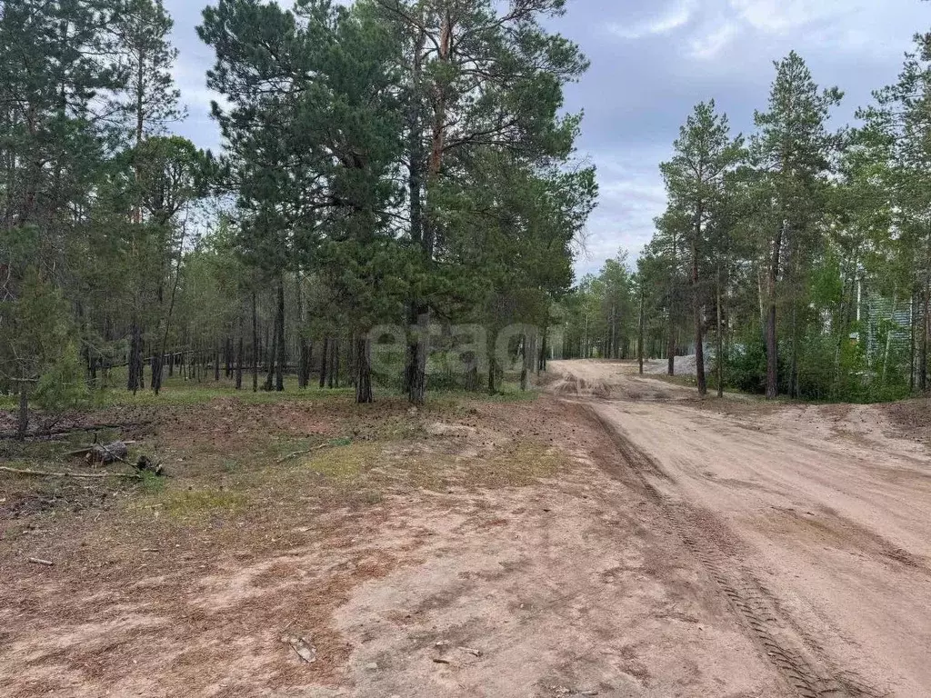 Участок в Саха (Якутия), Мегино-Кангаласский улус, Нижний Бестях пгт  ... - Фото 2