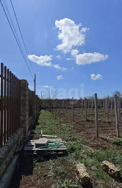 Участок в Крым, Сакский район, Новофедоровка пгт ул. Строителей (6.0 ... - Фото 2