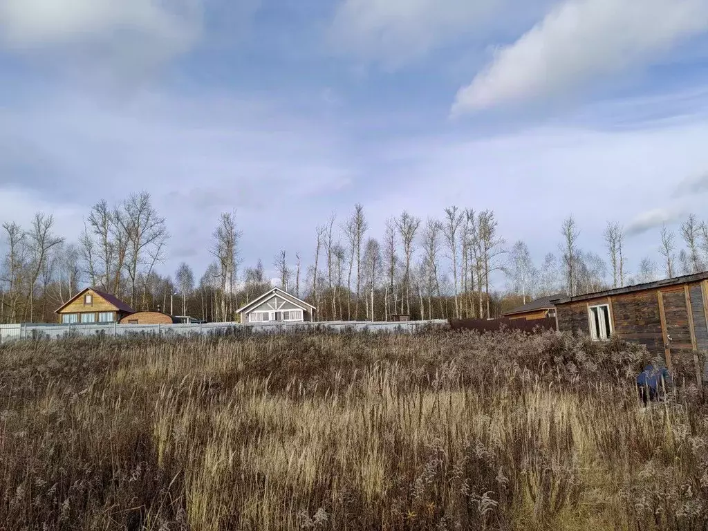 Участок в Тульская область, Тула городской округ, д. Коптево ул. ... - Фото 2