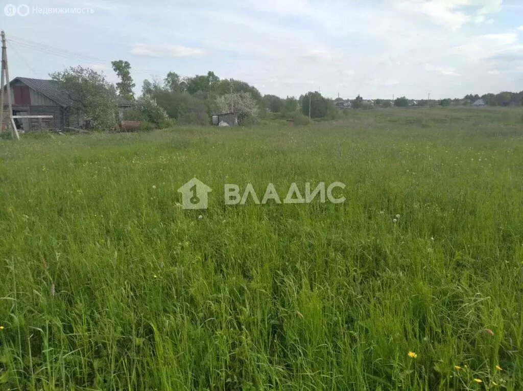 Участок в Вологодская область, Грязовецкий муниципальный округ, ... - Фото 1