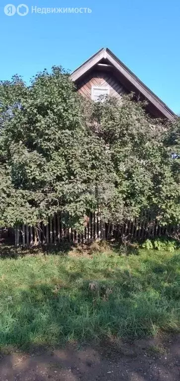 Дом в село Шушнур, улица Борисова (39.5 м) - Фото 2