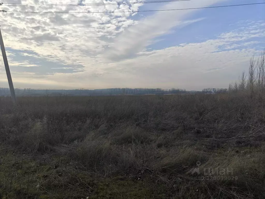 Участок в Ростовская область, Мясниковский район, с. Большие Салы ул. ... - Фото 1