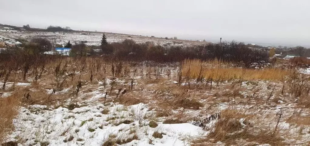 Участок в Воронежская область, Рамонский район, с. Русская Гвоздевка ... - Фото 0