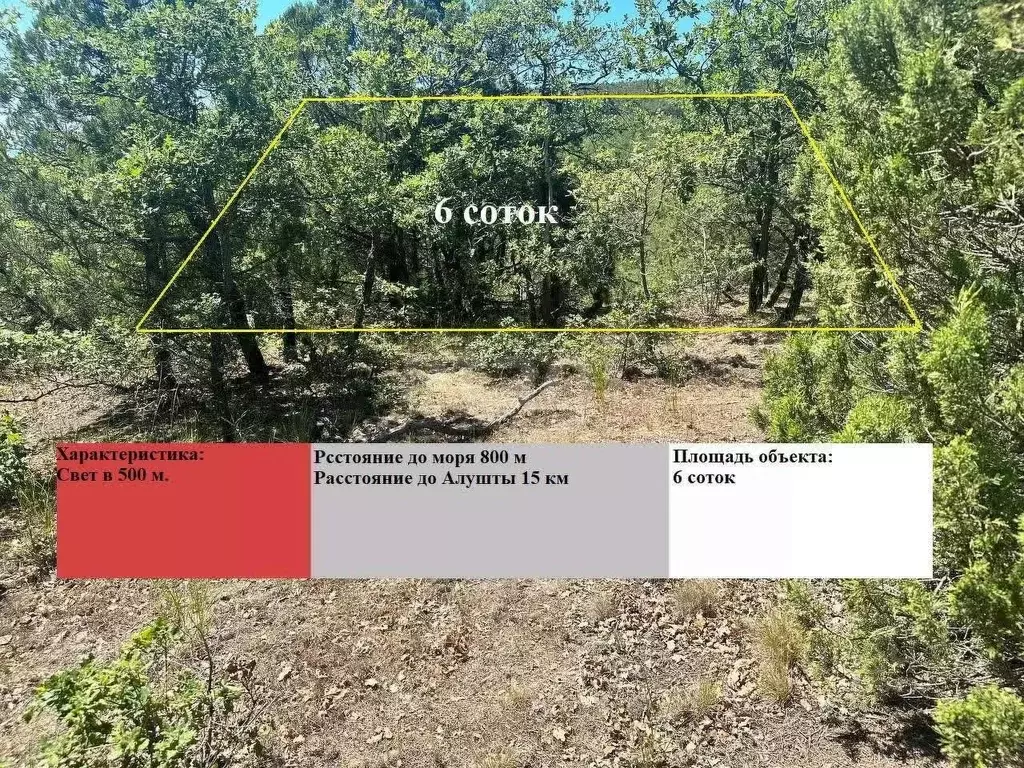 Участок в Крым, Алушта муниципальный округ, пос. Семидворье, Сказка ... - Фото 1