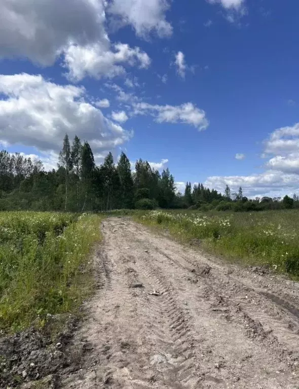 Участок в Псковская область, Псковский район, Писковичская волость, д. ... - Фото 1
