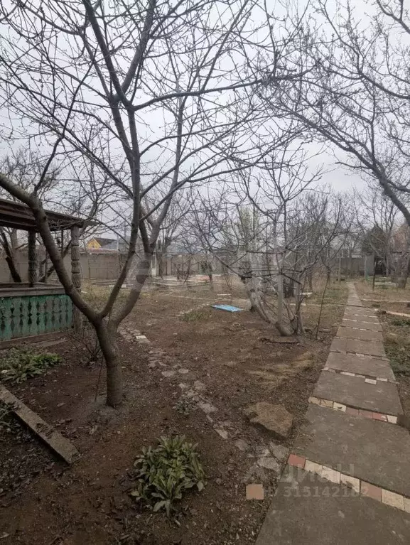 Участок в Крым, Сакский район, с. Уютное, Прибой СПК ул. Вишневая, 72 ... - Фото 0