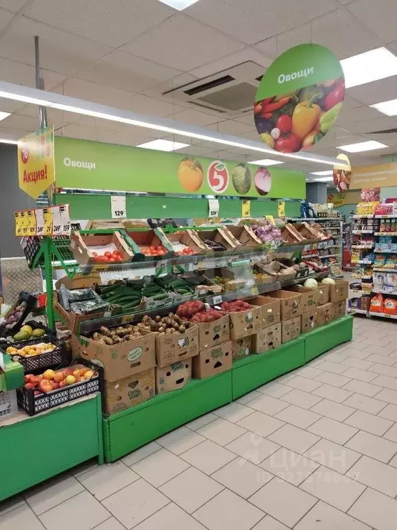 Торговая площадь в Пермский край, Соликамск ул. Пушкина, 1 (570 м) - Фото 1