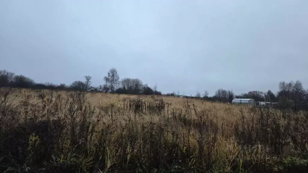 Участок в Московская область, Воскресенск городской округ, д. ... - Фото 1