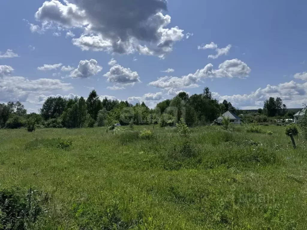 Участок в Мордовия, Кочкуровский район, д. Красная Зорька  (20.0 сот.) - Фото 1