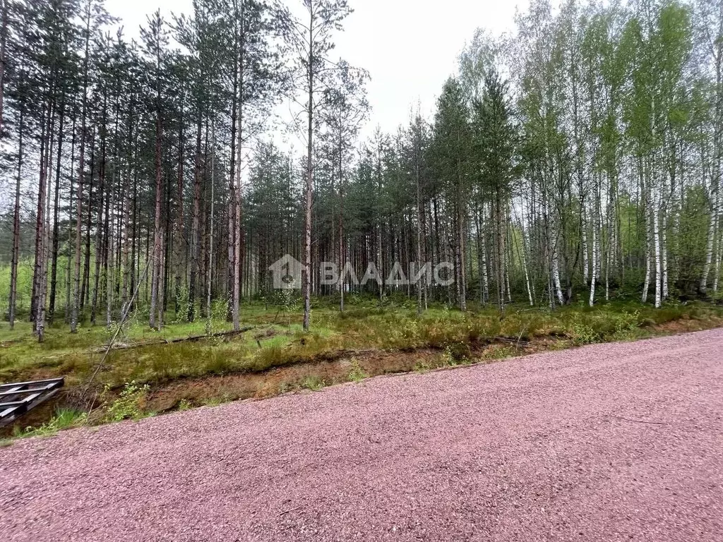 Участок в Ленинградская область, Выборгский район, Рощино пгт проезд ... - Фото 1