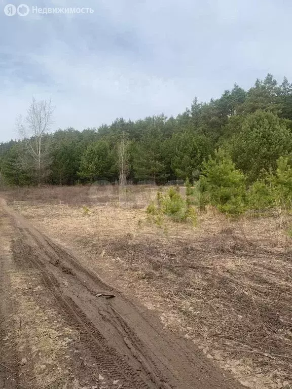 Участок в Волжск, СТ Луговое (6 м) - Фото 1
