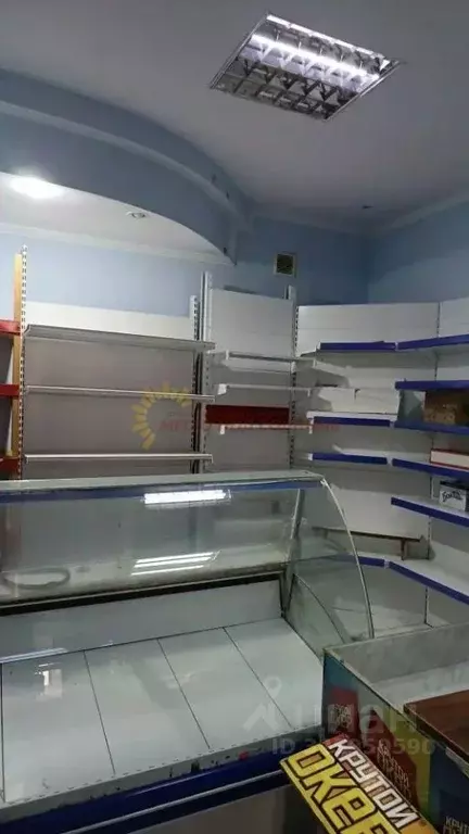 Помещение свободного назначения в Краснодарский край, Ейск Красная ... - Фото 1