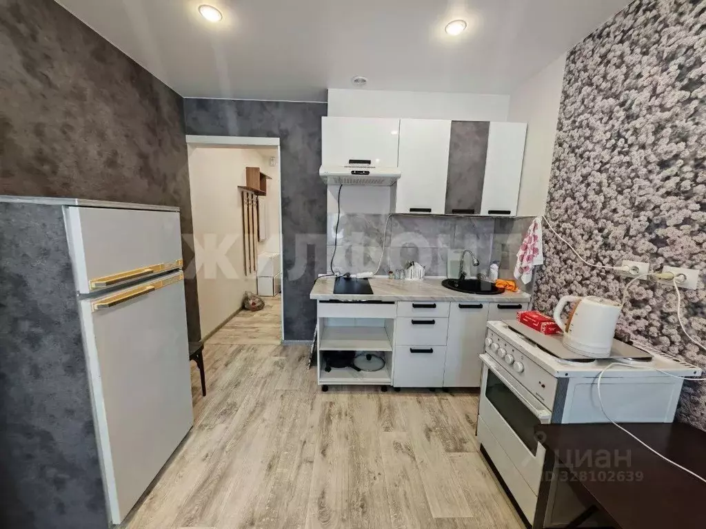 Студия Новосибирская область, Новосибирск ул. Забалуева, 69/2 (20.0 м) - Фото 2