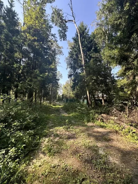 участок в московская область, люберцы городской округ, д. торбеево, . - Фото 1