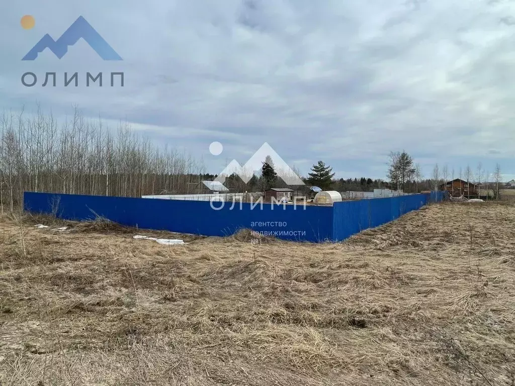 Участок в Вологодская область, д. Щекино  (23.8 сот.) - Фото 2