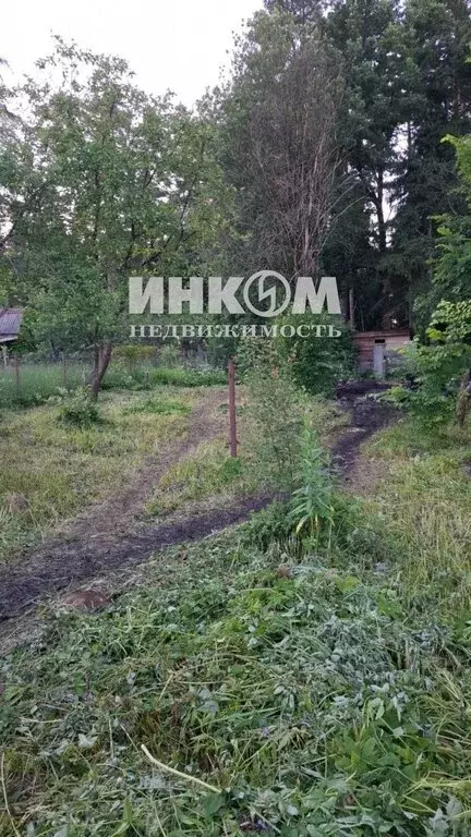 Участок в Одинцовский городской округ, садовое товарищество ... - Фото 1