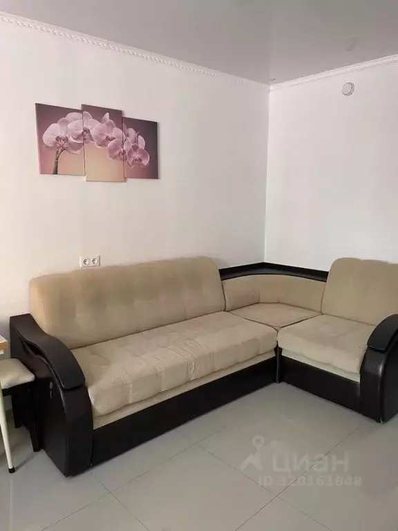 Комната Краснодарский край, Геленджик ул. Мира, 11 (37.0 м) - Фото 1