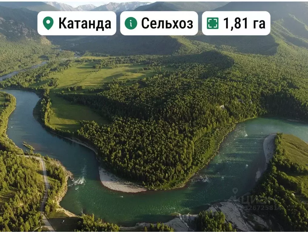 Участок в Алтай, Усть-Коксинский район, с. Катанда  (1.81 сот.) - Фото 1