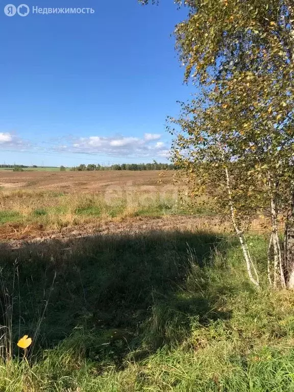 Участок в Брянский район, Глинищевское сельское поселение, деревня ... - Фото 0