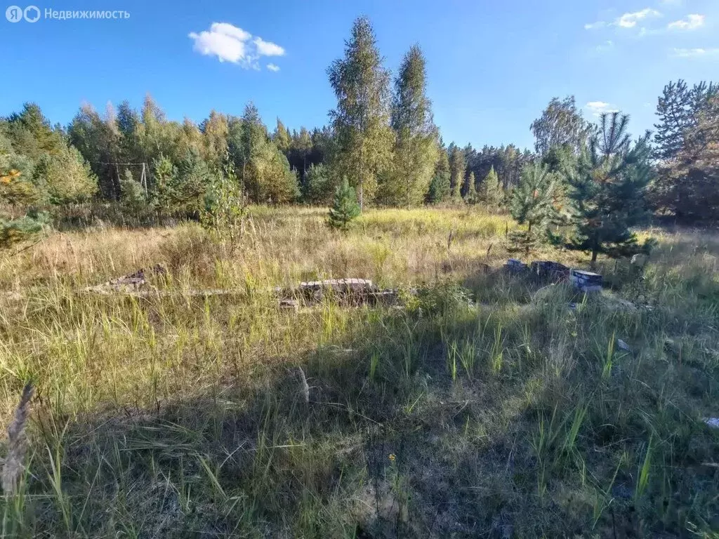 Участок в Кундышское сельское поселение, СТ Заозёрное (6 м) - Фото 1