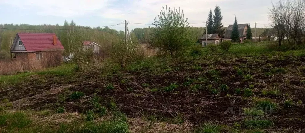 Участок в Кемеровская область, Ленинск-Кузнецкий муниципальный округ, ... - Фото 1