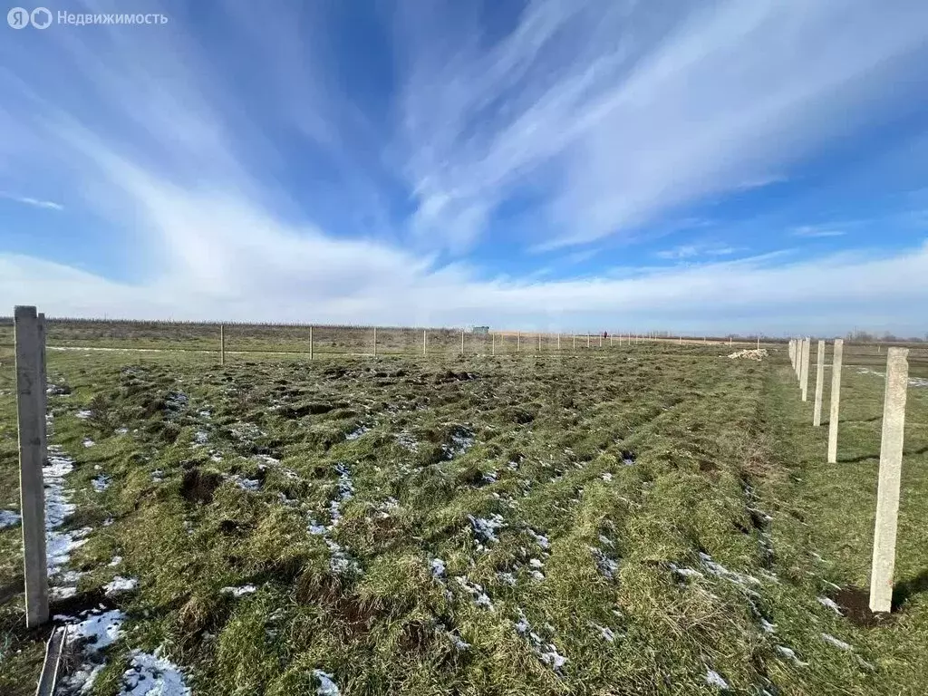 Участок в Владиславовка, Виноградная улица, 42 (16 м) - Фото 2