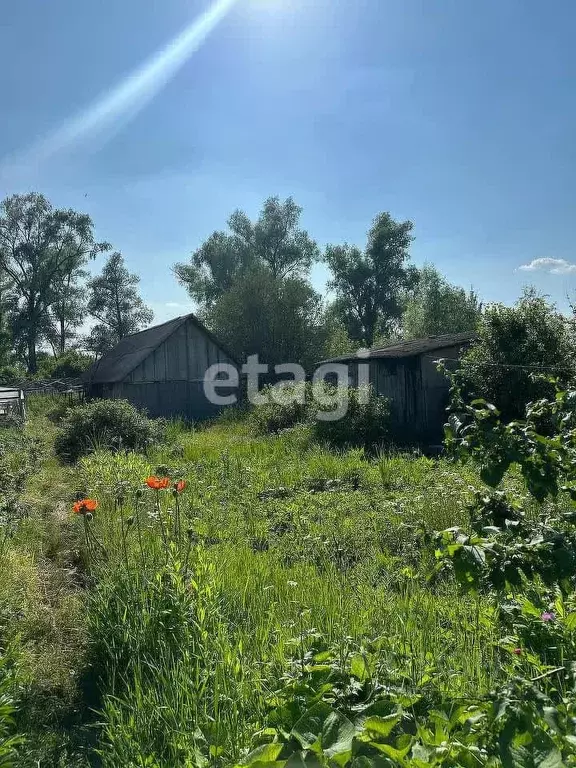 Участок в Башкортостан, Гафурийский район, Мраковский сельсовет, с. ... - Фото 1