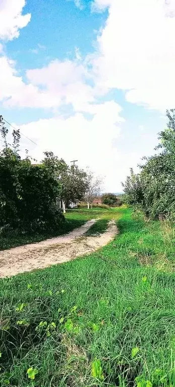 Участок в Краснодарский край, Анапа муниципальный округ, Чекон хут. ... - Фото 2