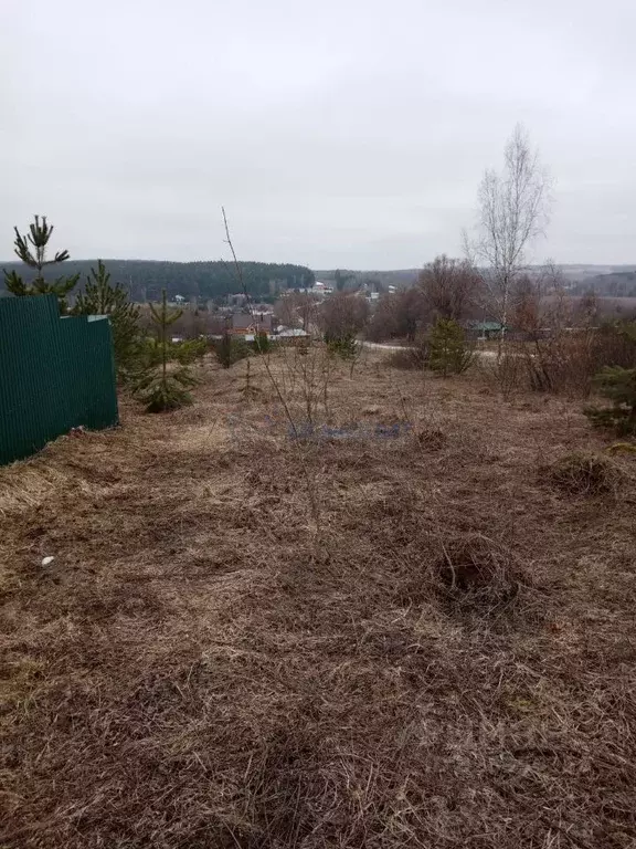 Участок в Нижегородская область, Богородский муниципальный округ, ... - Фото 2