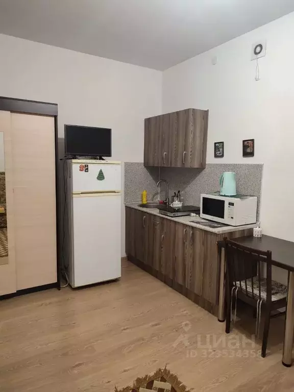 Студия Санкт-Петербург аллея Арцеуловская, 23к1 (25.0 м) - Фото 1