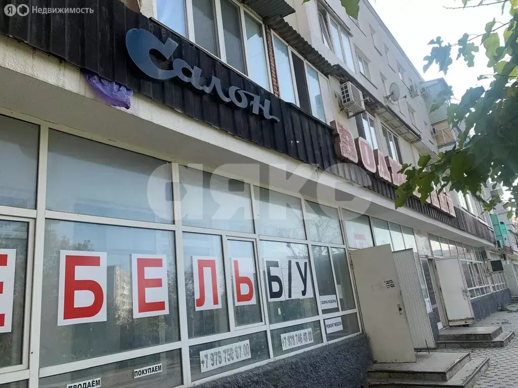 Помещение свободного назначения (272 м) - Фото 2