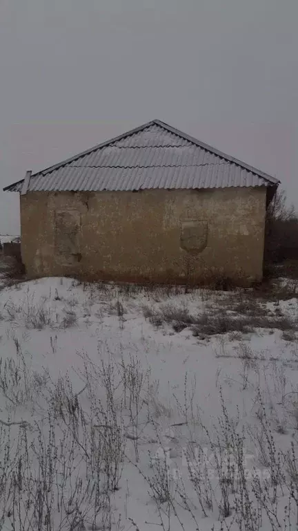 Помещение свободного назначения в Саратовская область, ... - Фото 1