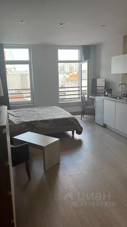 Студия Санкт-Петербург ул. Академика Павлова, 7 (30.0 м) - Фото 1