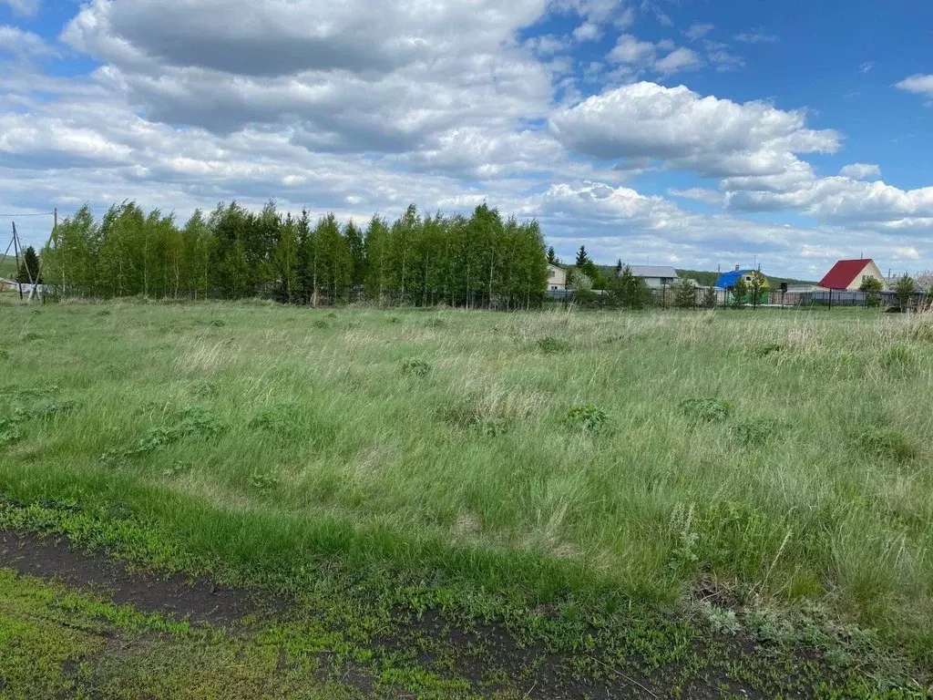 Участок в Свердловская область, Каменский городской округ, с. ... - Фото 0