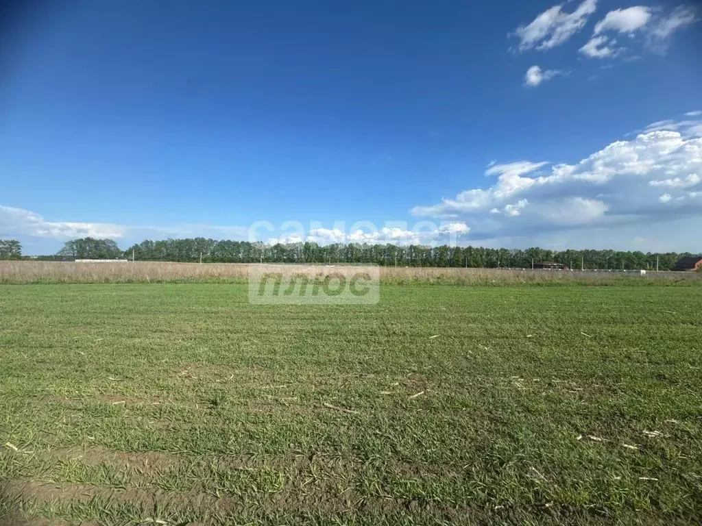 Участок в Курская область, Курский район, Клюквинский сельсовет, д. ... - Фото 1