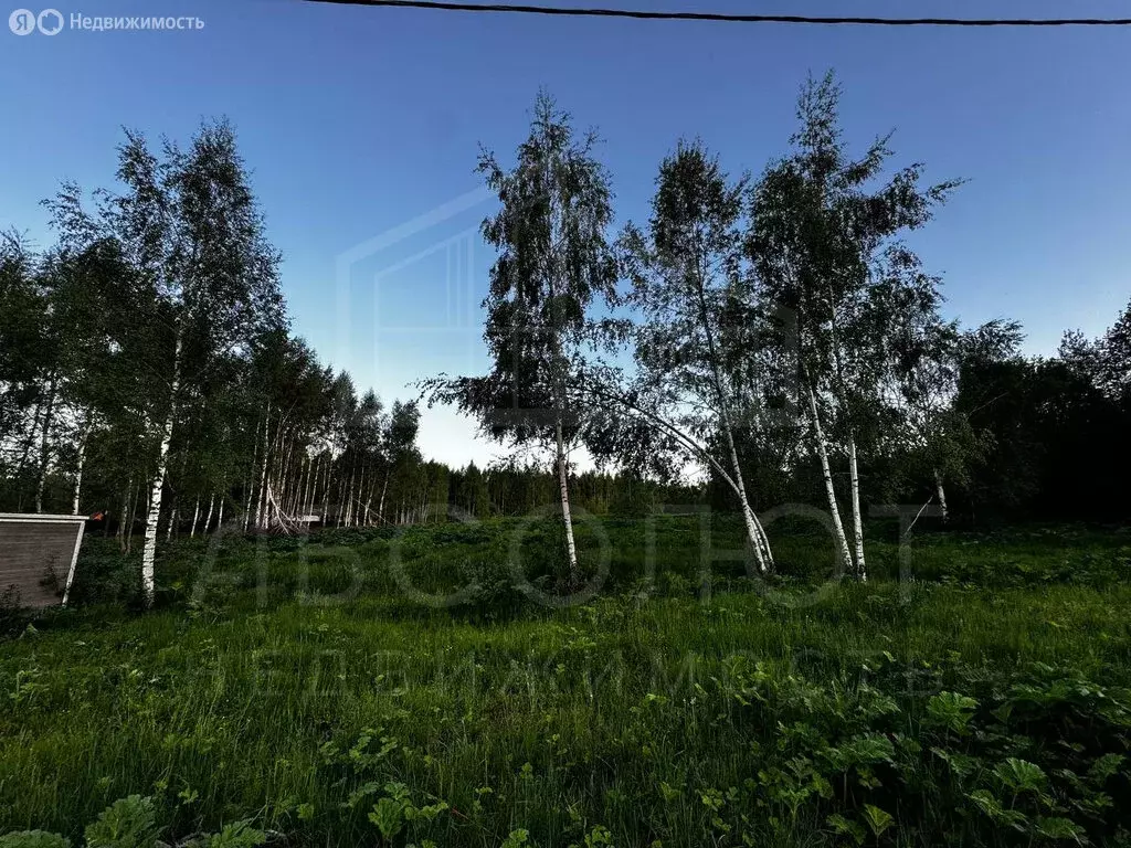 Участок в Сергиево-Посадский городской округ, Шеметовский ... - Фото 1