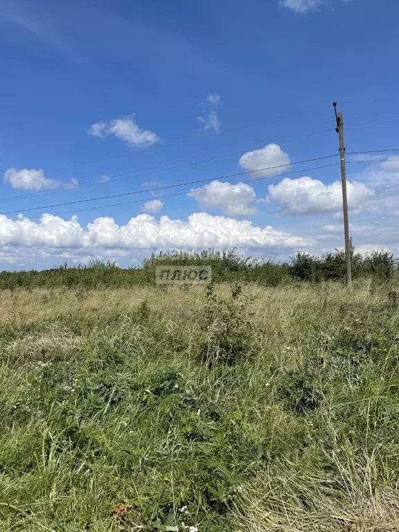 Участок в Калининградская область, Гурьевский муниципальный округ, ... - Фото 1